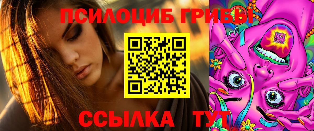 Псилоцибиновые грибы мицелий Великий Устюг