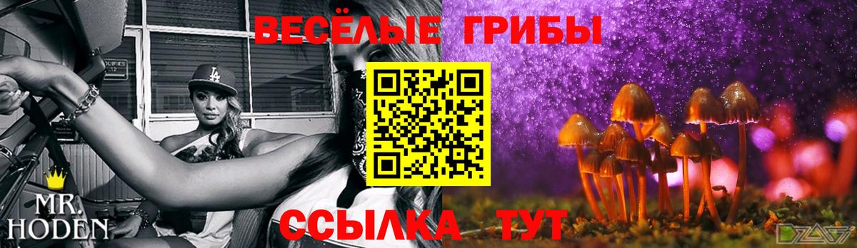 Великий Устюг  Псилоцибиновые грибы GOLDEN TEACHER  купить наркотик  Галлюциногенные грибы GOLDEN TEACHER  Вход с VPN 